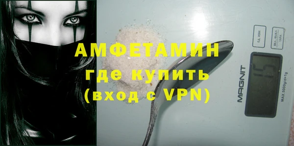 сатива Верея