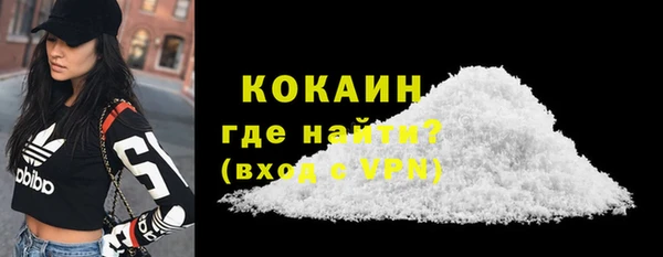 сатива Верея