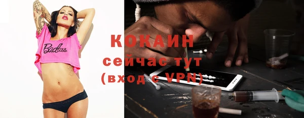 сатива Верея