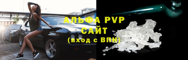 сатива Верея