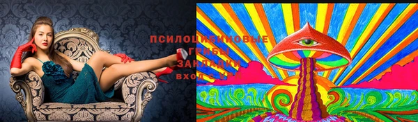сатива Верея