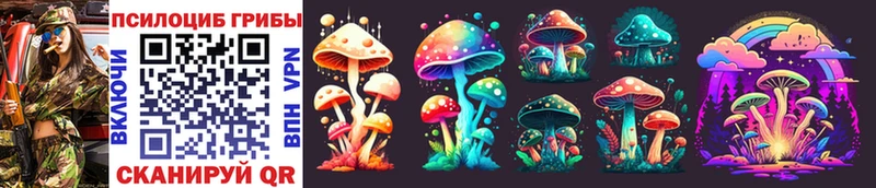 Псилоцибиновые грибы Cubensis  Купить  Геленджик 