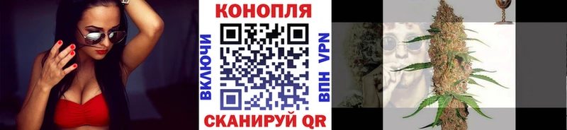 Купить  Геленджик  Каннабис планчик 